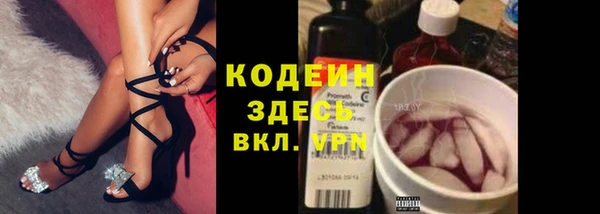 ПСИЛОЦИБИНОВЫЕ ГРИБЫ Алзамай