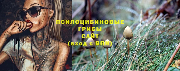 ПСИЛОЦИБИНОВЫЕ ГРИБЫ Алзамай