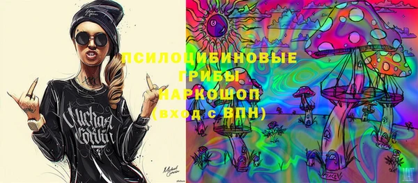 ПСИЛОЦИБИНОВЫЕ ГРИБЫ Алзамай