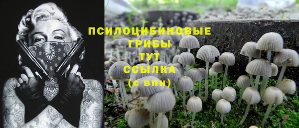 круглые Алексин
