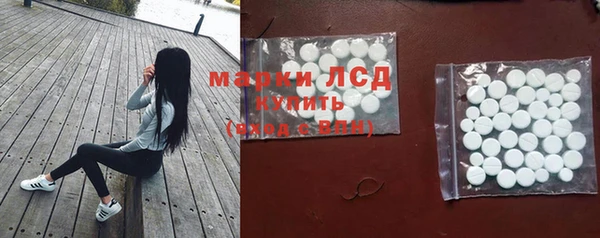 ПСИЛОЦИБИНОВЫЕ ГРИБЫ Алзамай