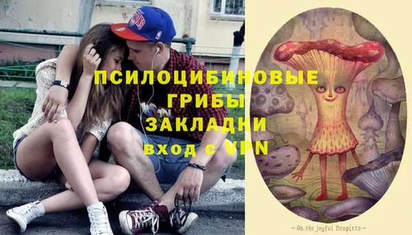 круглые Алексин